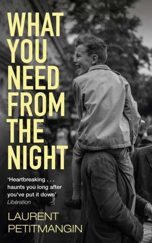 What You Need From The Night de Laurent Petitmangin