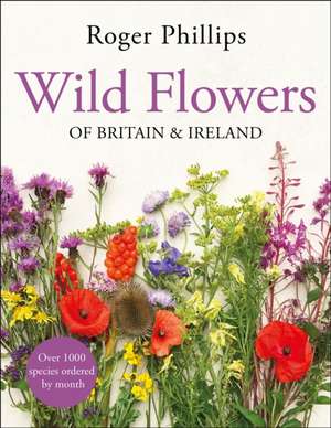 Wild Flowers de Roger Phillips