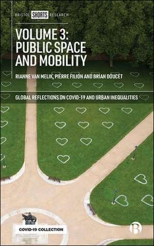 Volume 3: Public Space and Mobility de R Van Melik