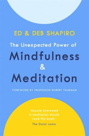 The Unexpected Power of Mindfulness and Meditation de Deb Shapiro