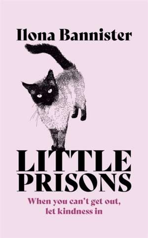 Little Prisons de Ilona Bannister