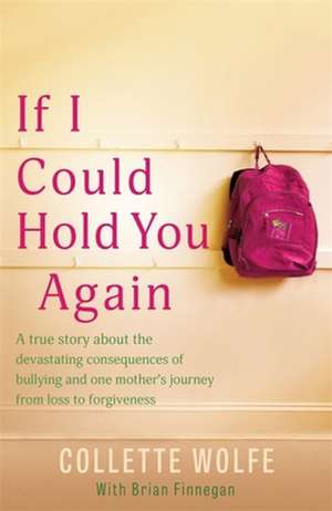 If I Could Hold You Again de Collette Wolfe