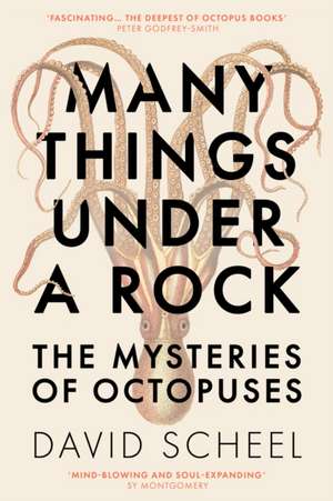 Many Things Under a Rock de David Scheel