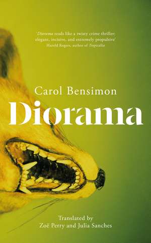 Diorama: an engrossing suspense novel set in 1980s Brazil de Carol Bensimon