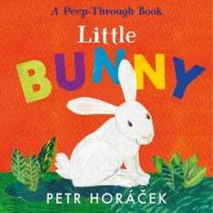 Little Bunny de Petr Horácek