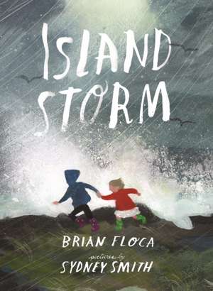 Island Storm de Brian Floca