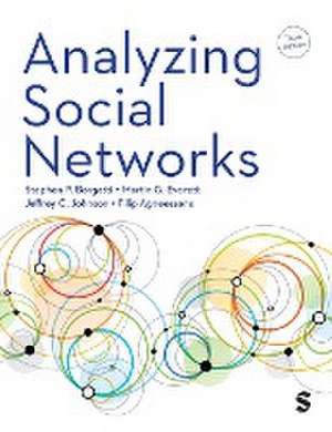 Analyzing Social Networks de Stephen P Borgatti