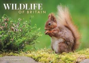 Wildlife of Britain A4 Calendar 2025 de Carousel Calendars