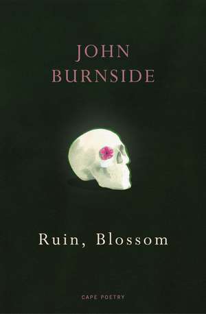 Ruin, Blossom de John Burnside
