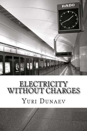 Electricity Without Charges de Yuri Volodymyrovych Dunaev