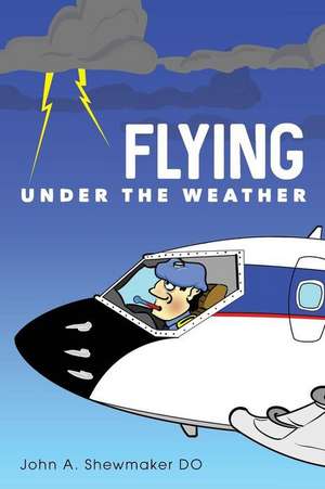 Flying Under the Weather de John a. Shewmaker Do