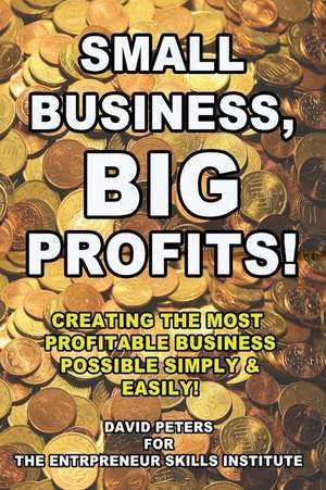 Small Business, Big Profits de David Peters