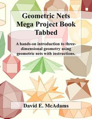 Geometric Nets Mega Project Book - Tabbed de David E. McAdams