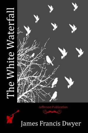 The White Waterfall de James Francis Dwyer