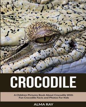 Crocodile de Alma Ray