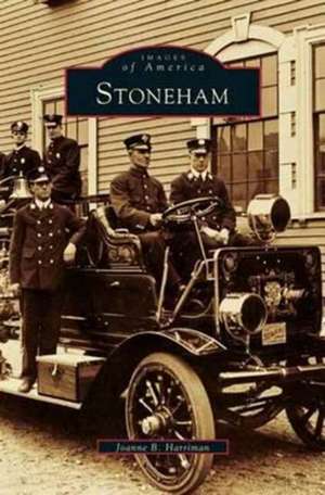 Stoneham de Joanne B. Harriman