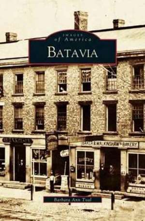 Batavia de Barbara Ann Toal