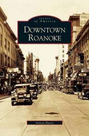 Downtown Roanoke de C. Nelson Harris