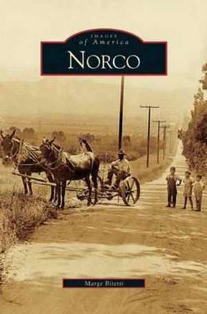 Norco de Marge Bitetti