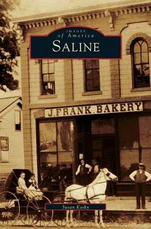 Saline de Susan Kosky