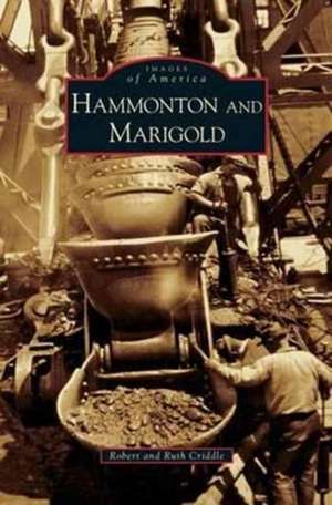 Hammonton and Marigold de Robert Criddle