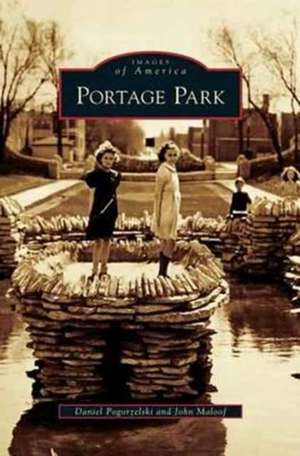 Portage Park de Daniel Pogorzelski