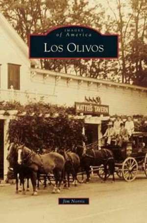 Los Olivos de Jim Norris