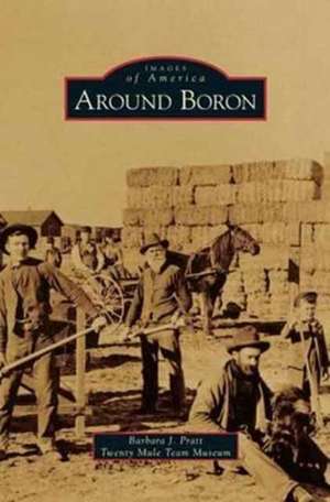 Around Boron de Barbara J. Pratt