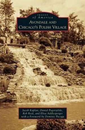 Avondale and Chicago's Polish Village de Jacob Kaplan