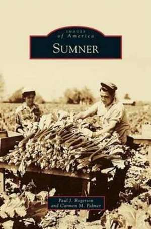 Sumner de Paul J. Rogerson