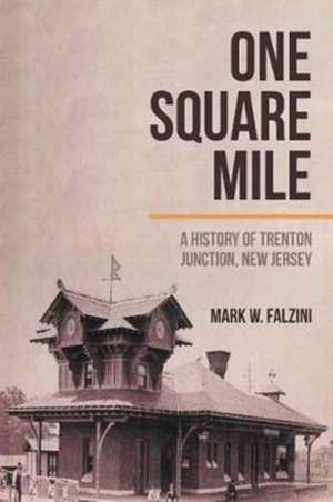 One Square Mile de Mark W. Falzini