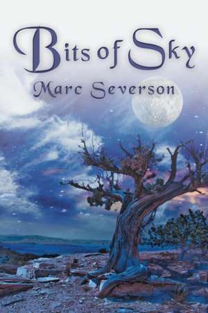 Bits of Sky de Marc Severson