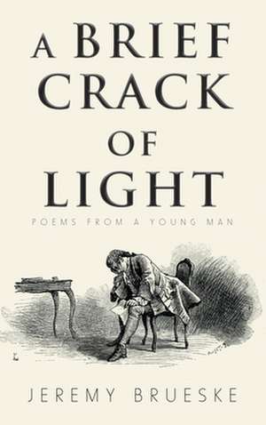 A Brief Crack of Light de Jeremy Brueske