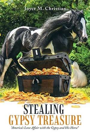 Stealing Gypsy Treasure de Joyce M. Christian