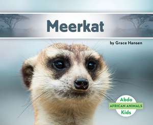 Meerkat de Grace Hansen