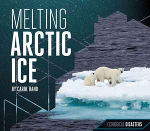 Melting Arctic Ice: A Clinician's Guide de Carol Hand