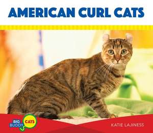 American Curl Cats de Katie Lajiness