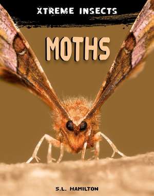 Moths de Sue L. Hamilton