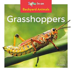 Grasshoppers de Leo Statts