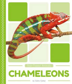 Chameleons de Golriz Golkar