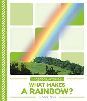 What Makes a Rainbow? de Debbie Vilardi