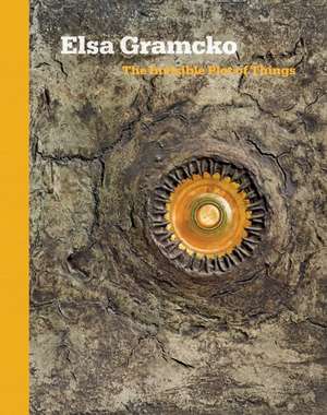 Elsa Gramcko: The Invisible Plot of Things de Gabriela Rangel