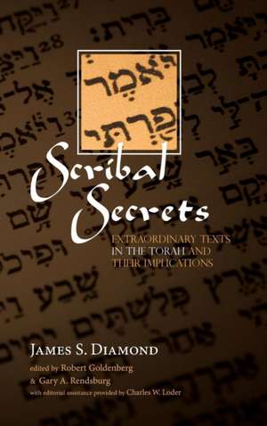 Scribal Secrets de James S. Diamond