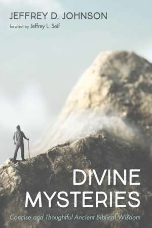 Divine Mysteries de Jeffrey D. Johnson