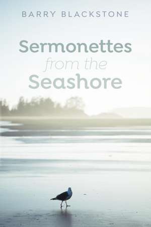 Sermonettes from the Seashore de Barry Blackstone