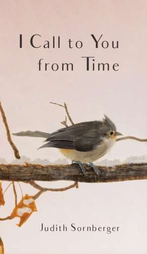 I Call to You from Time de Judith Sornberger