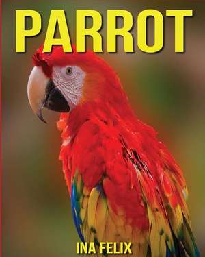 Parrot de Ina Felix