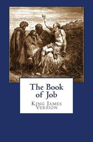 The Book of Job de Rhonda Keith Stephens Ed