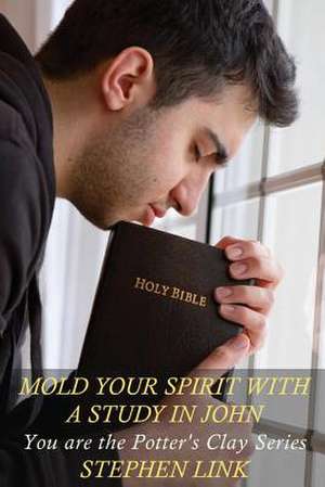 Mold Your Spirit with a Study in John de Stephen Link