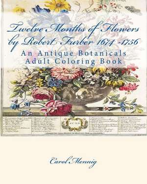 Twelve Months of Flowers by Robert Furber 1674 -1756 de Carol Mennig